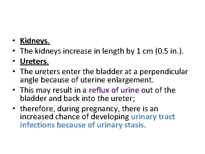 Kidneys. The kidneys increase in length by 1 cm (0. 5 in. ). Ureters.