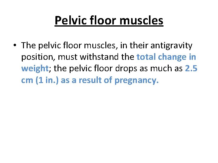 Pelvic floor muscles • The pelvic floor muscles, in their antigravity position, must withstand