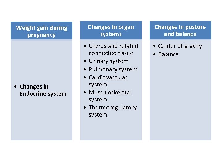 Weight gain during pregnancy • Changes in Endocrine system Changes in organ systems •