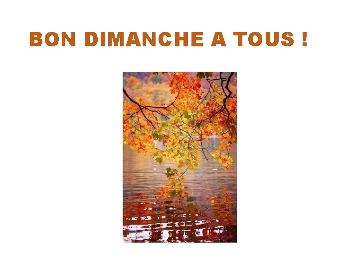 BON DIMANCHE A TOUS ! 