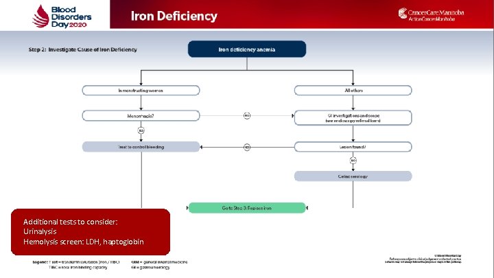• Insert algorithm Additional tests to consider: Urinalysis Hemolysis screen: LDH, haptoglobin • Insert algorithm Additional tests to consider: Urinalysis Hemolysis screen: LDH, haptoglobin