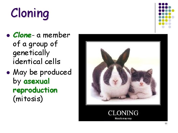 Cloning l l Clone a member of a group of genetically identical cells May