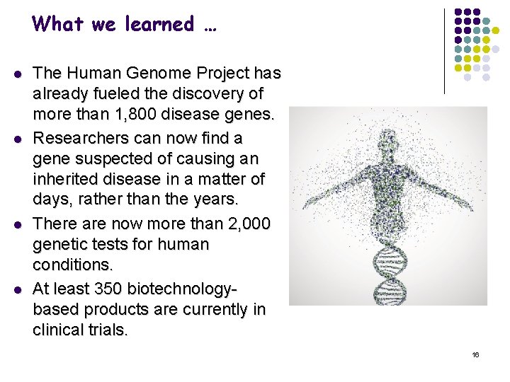 What we learned … l l The Human Genome Project has already fueled the