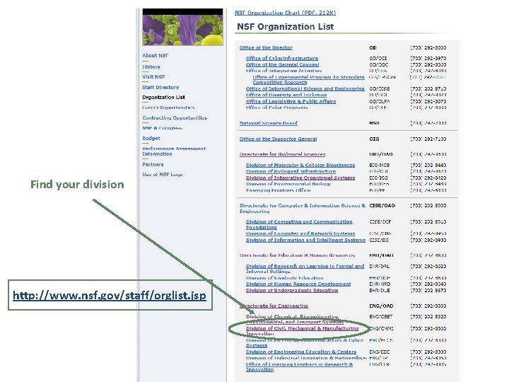 Find your division http: //www. nsf. gov/staff/orglist. jsp 