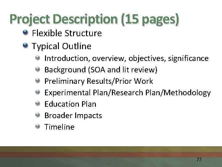 Project Description (15 pages) Flexible Structure Typical Outline Introduction, overview, objectives, significance Background (SOA