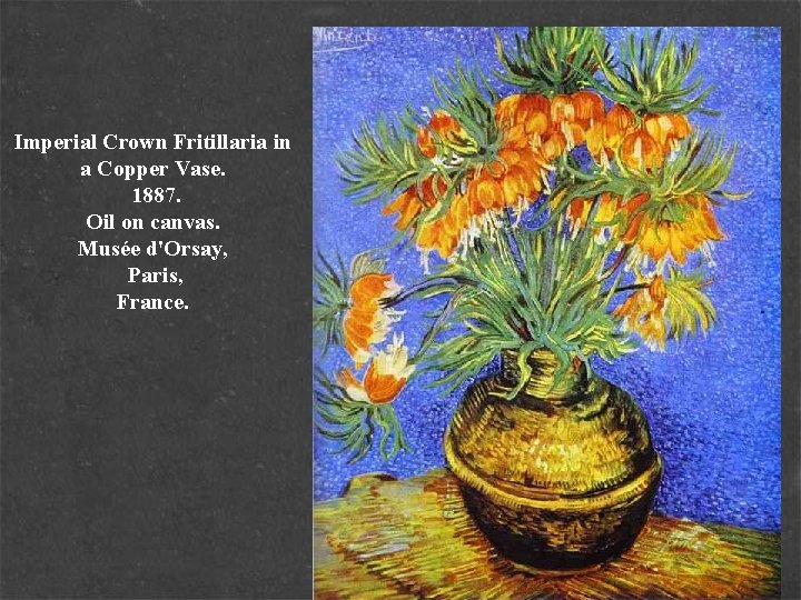 Imperial Crown Fritillaria in a Copper Vase. 1887. Oil on canvas. Musée d'Orsay, Paris,