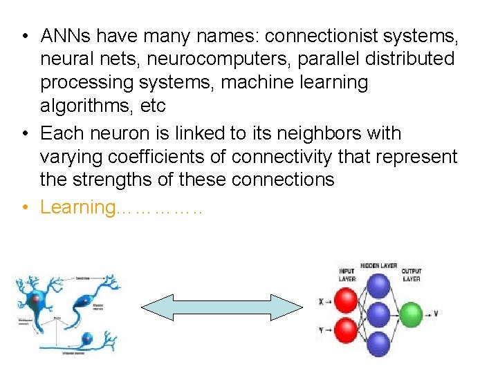  • ANNs have many names: connectionist systems, neural nets, neurocomputers, parallel distributed processing