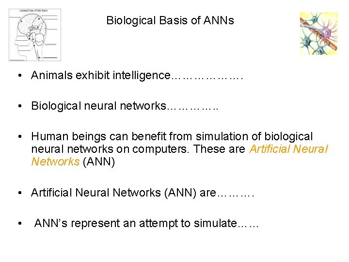 Biological Basis of ANNs • Animals exhibit intelligence………………. • Biological neural networks…………. . •