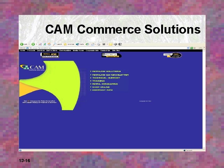 CAM Commerce Solutions 13 -16 