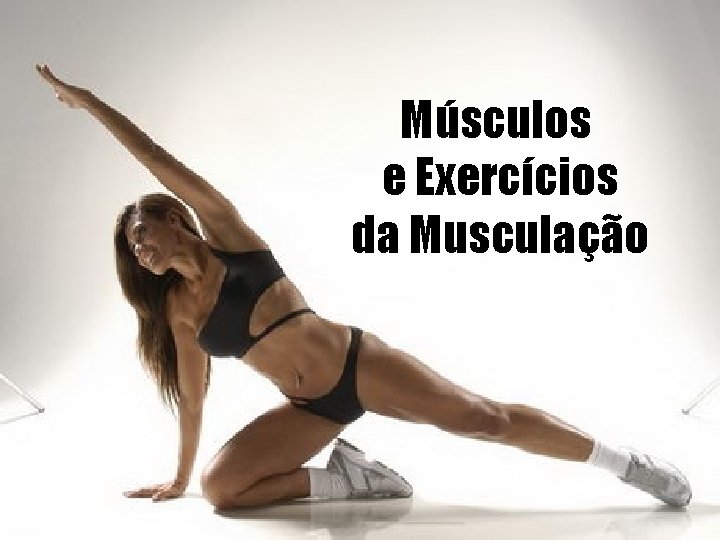 Músculos e Exercícios da Musculação 