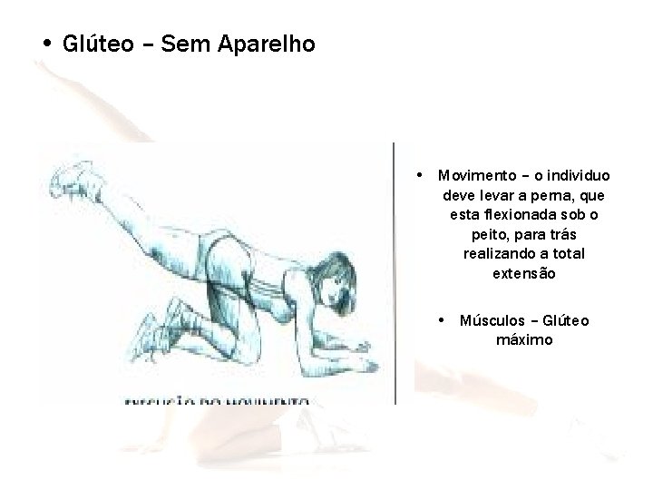  • Glúteo – Sem Aparelho • Movimento – o individuo deve levar a