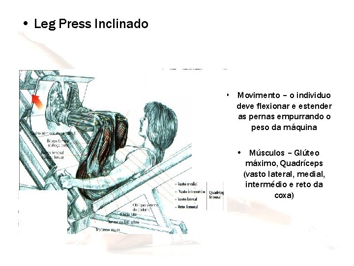  • Leg Press Inclinado • Movimento – o individuo deve flexionar e estender