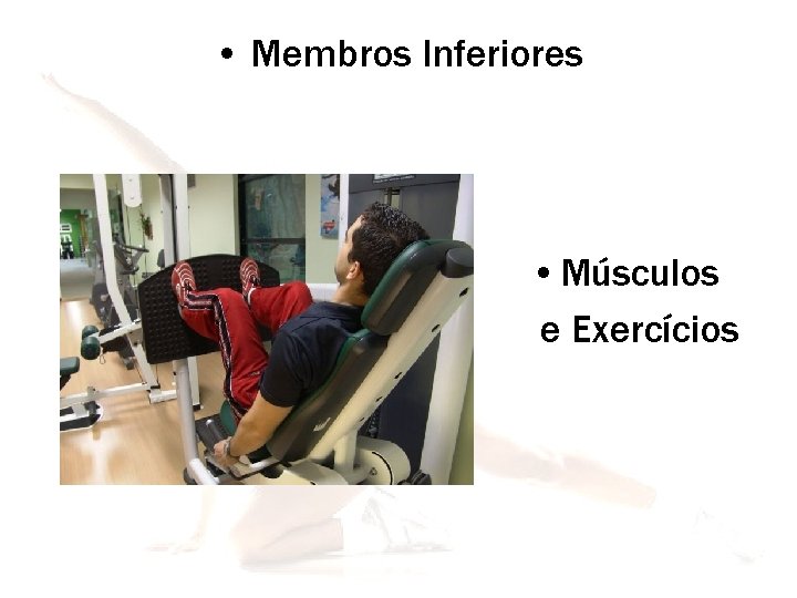  • Membros Inferiores • Músculos e Exercícios 