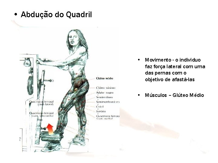  • Abdução do Quadril • Movimento - o individuo faz força lateral com
