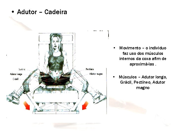  • Adutor – Cadeira • Movimento – o individuo faz uso dos músculos