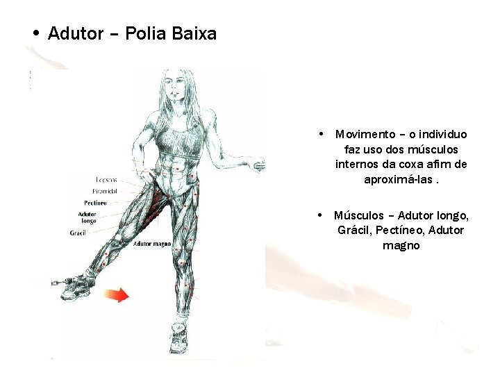  • Adutor – Polia Baixa • Movimento – o individuo faz uso dos