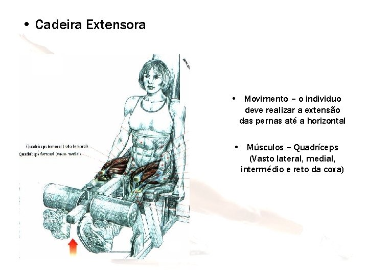  • Cadeira Extensora • Movimento – o individuo deve realizar a extensão das