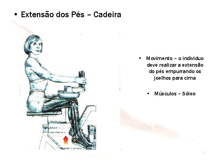  • Extensão dos Pés – Cadeira • Movimento – o individuo deve realizar