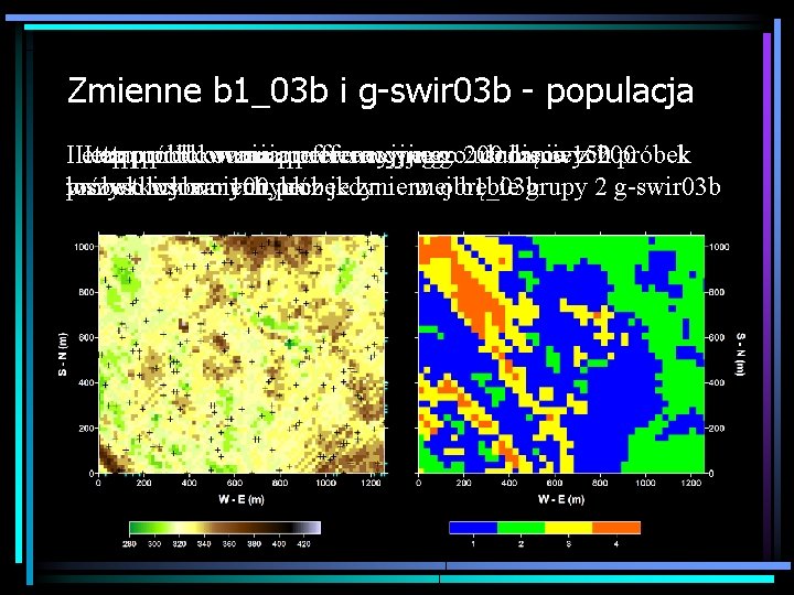 Zmienne b 1_03 b i g-swir 03 b - populacja IIIetappróbkowaniapreferencyjnego: 200 usunięcie dodanie