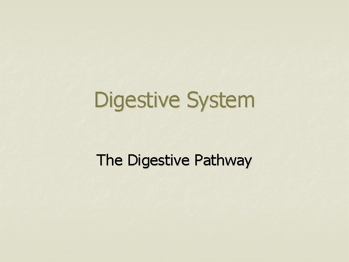 Digestive System The Digestive Pathway 