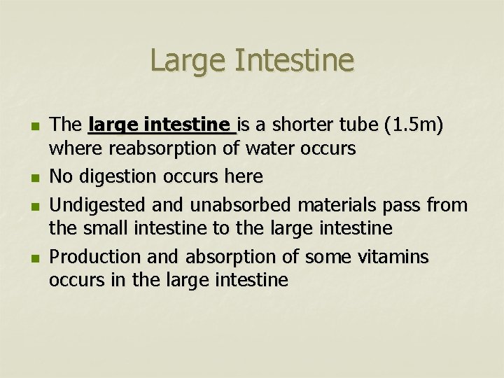 Large Intestine n n The large intestine is a shorter tube (1. 5 m)