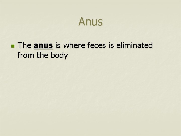 Anus n The anus is where feces is eliminated from the body 