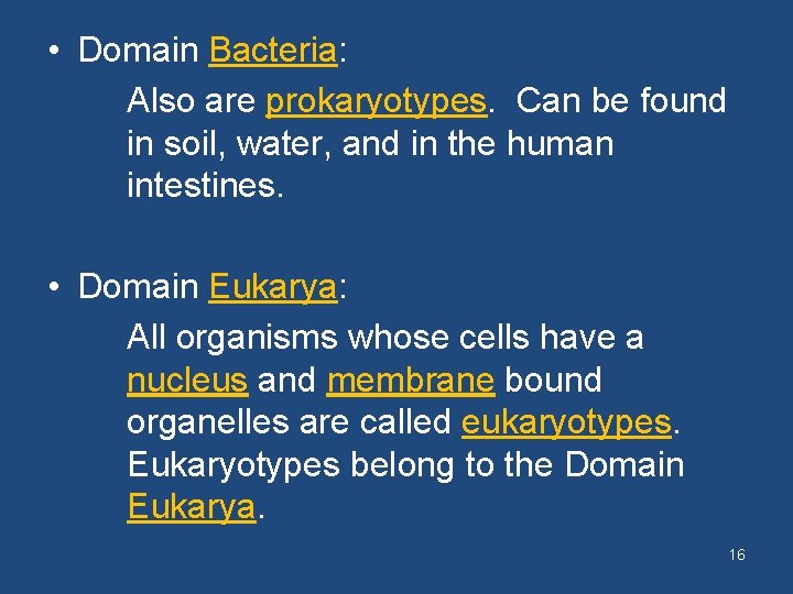  • Domain Bacteria: Also are prokaryotypes. Can be found in soil, water, and