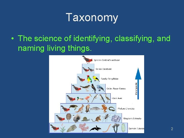 Taxonomy • The science of identifying, classifying, and naming living things. 2 