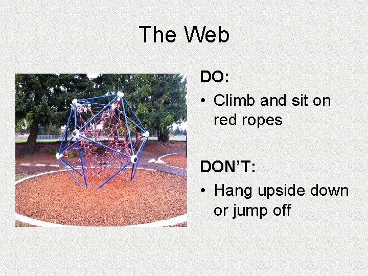 The Web DO: • Climb and sit on red ropes DON’T: • Hang upside