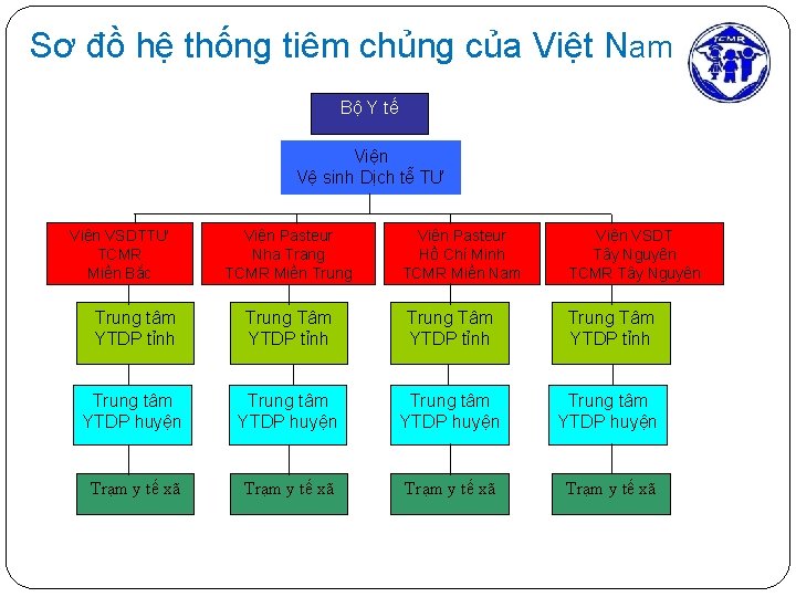 Sơ đồ hệ thống tiêm chủng của Việt Nam Bộ Y tế Viện Vệ