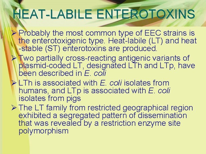 HEAT-LABILE ENTEROTOXINS Ø Probably the most common type of EEC strains is the enterotoxigenic