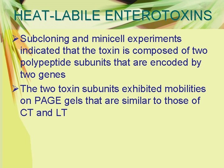 HEAT-LABILE ENTEROTOXINS Ø Subcloning and minicell experiments indicated that the toxin is composed of