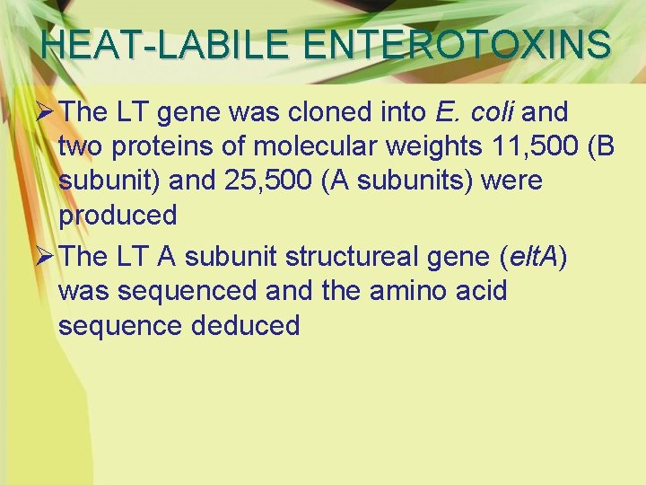 HEAT-LABILE ENTEROTOXINS Ø The LT gene was cloned into E. coli and two proteins