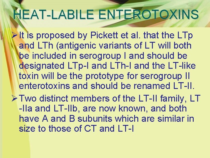 HEAT-LABILE ENTEROTOXINS Ø It is proposed by Pickett et al. that the LTp and
