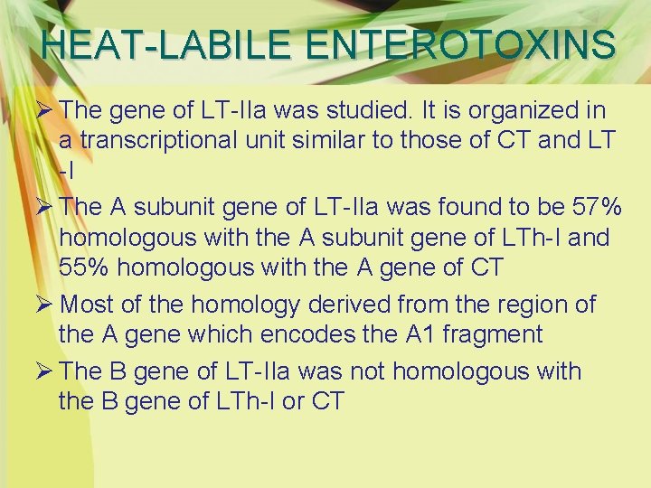 HEAT-LABILE ENTEROTOXINS Ø The gene of LT-IIa was studied. It is organized in a