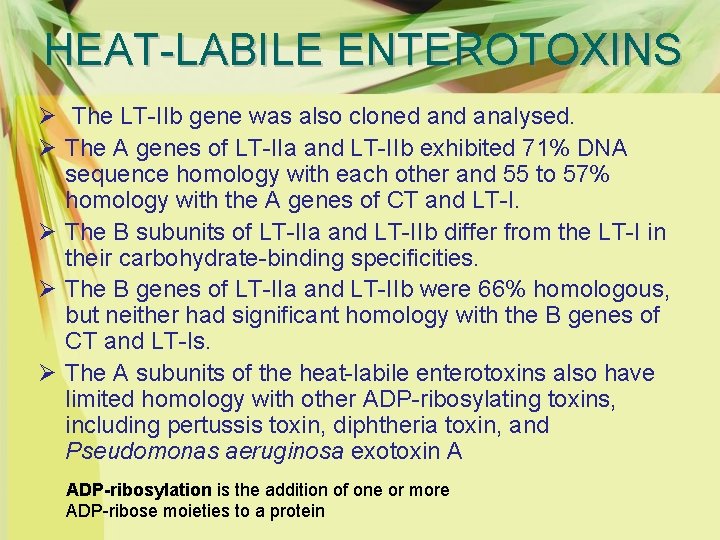 HEAT-LABILE ENTEROTOXINS Ø The LT-IIb gene was also cloned analysed. Ø The A genes