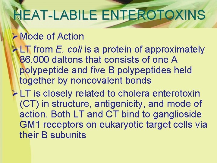 HEAT-LABILE ENTEROTOXINS Ø Mode of Action Ø LT from E. coli is a protein