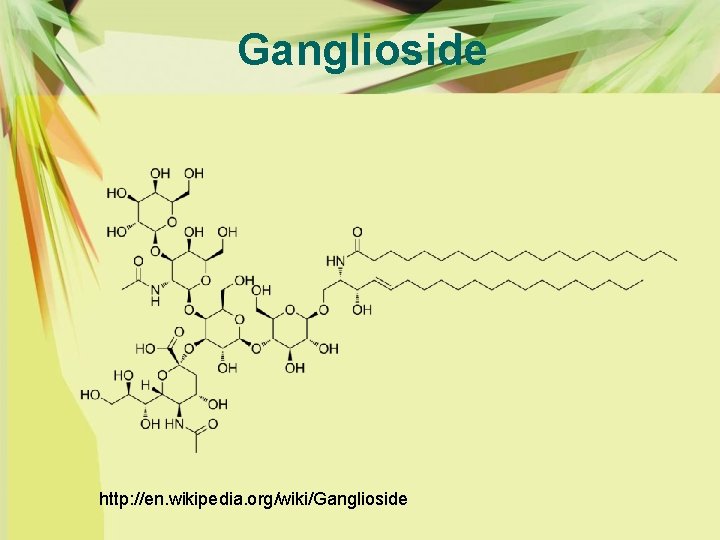 Ganglioside http: //en. wikipedia. org/wiki/Ganglioside 