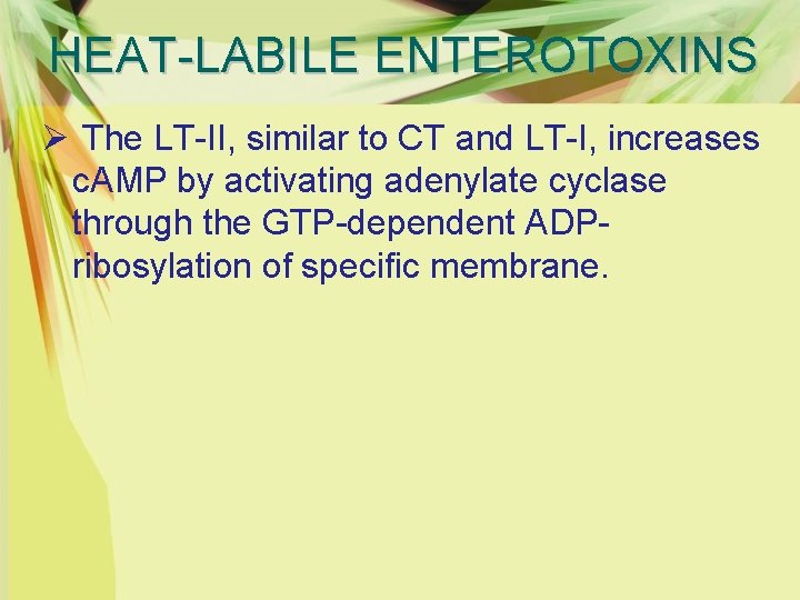 HEAT-LABILE ENTEROTOXINS Ø The LT-II, similar to CT and LT-I, increases c. AMP by