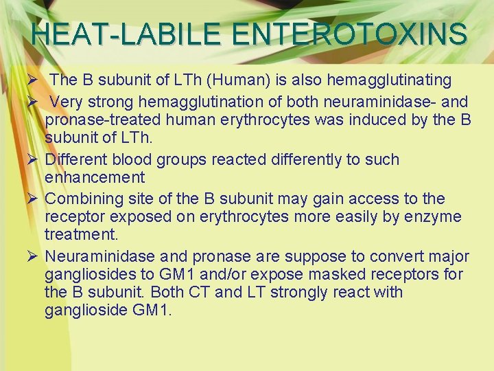 HEAT-LABILE ENTEROTOXINS Ø The B subunit of LTh (Human) is also hemagglutinating Ø Very