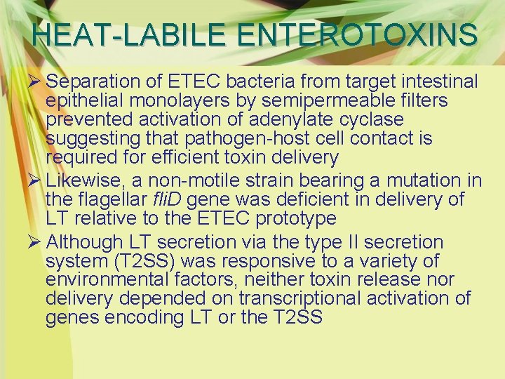 HEAT-LABILE ENTEROTOXINS Ø Separation of ETEC bacteria from target intestinal epithelial monolayers by semipermeable