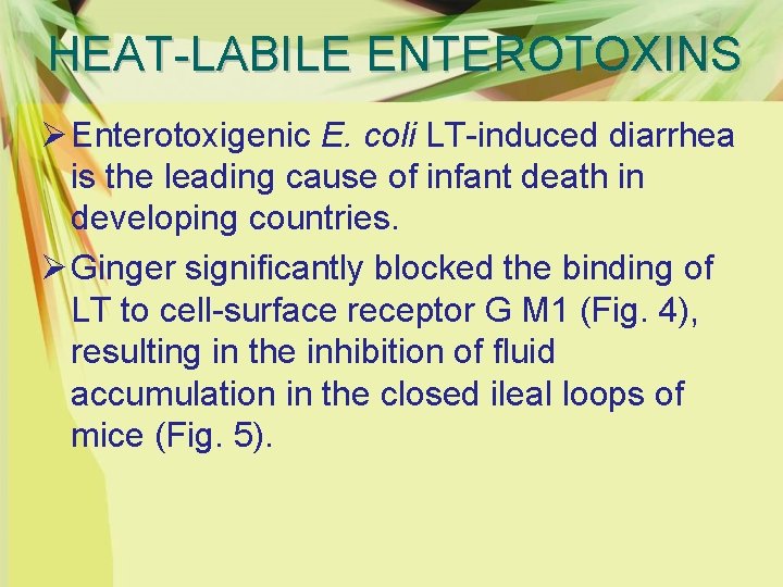 HEAT-LABILE ENTEROTOXINS Ø Enterotoxigenic E. coli LT-induced diarrhea is the leading cause of infant
