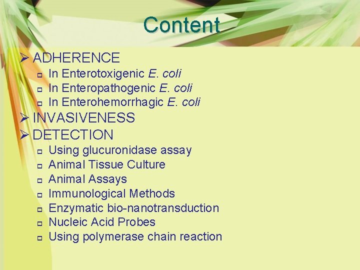 Content Ø ADHERENCE p p p In Enterotoxigenic E. coli In Enteropathogenic E. coli