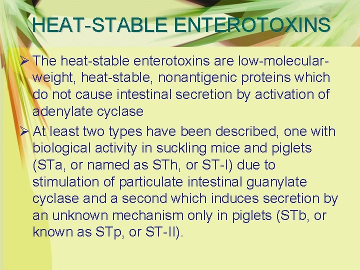 HEAT-STABLE ENTEROTOXINS Ø The heat-stable enterotoxins are low-molecularweight, heat-stable, nonantigenic proteins which do not
