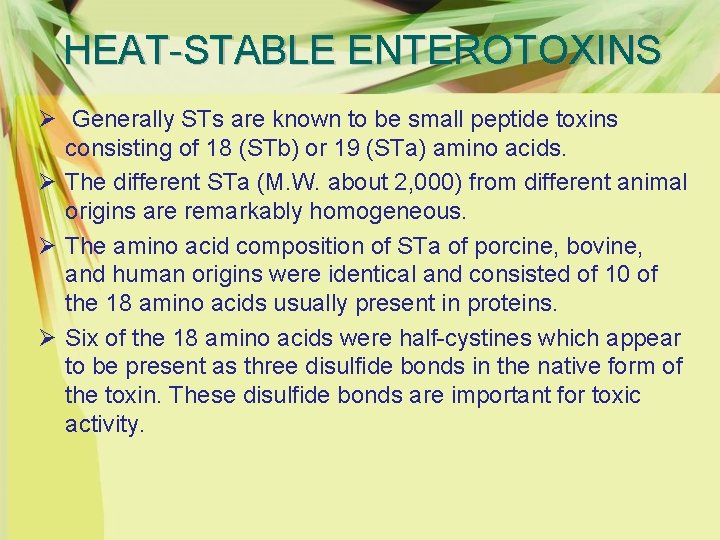 HEAT-STABLE ENTEROTOXINS Ø Generally STs are known to be small peptide toxins consisting of