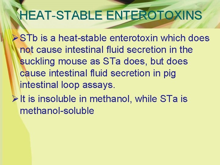 HEAT-STABLE ENTEROTOXINS Ø STb is a heat-stable enterotoxin which does not cause intestinal fluid