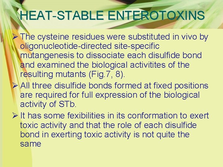 HEAT-STABLE ENTEROTOXINS Ø The cysteine residues were substituted in vivo by oligonucleotide-directed site-specific mutangenesis