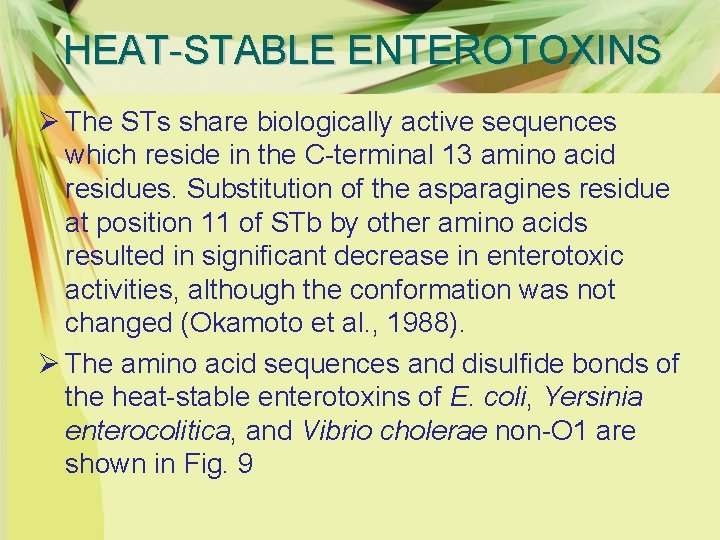 HEAT-STABLE ENTEROTOXINS Ø The STs share biologically active sequences which reside in the C-terminal