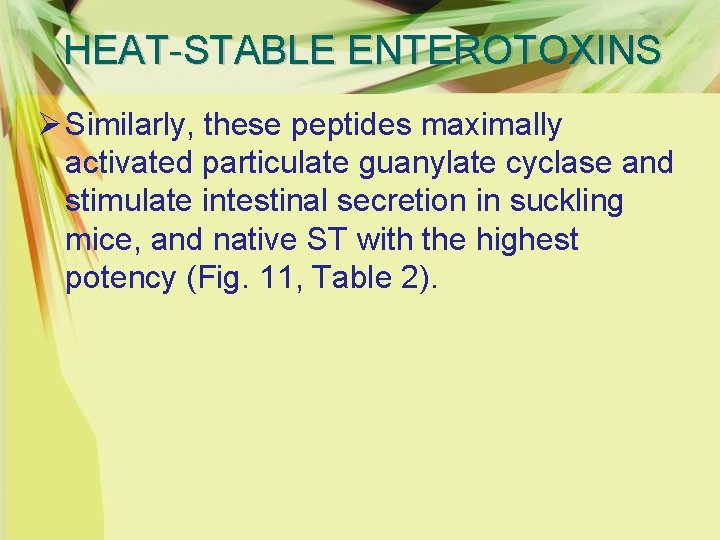 HEAT-STABLE ENTEROTOXINS Ø Similarly, these peptides maximally activated particulate guanylate cyclase and stimulate intestinal