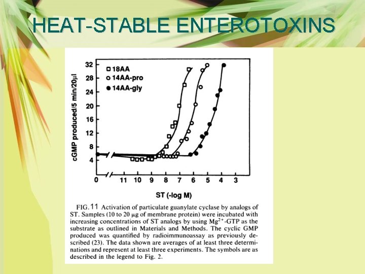 HEAT-STABLE ENTEROTOXINS 